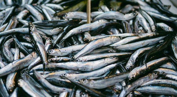 Comparatif fiable pour votre devis mutuelle santé idéal